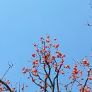 성안세탁 이미지