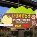 다산1농장 이미지
