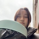 백마상회 이미지