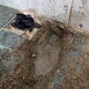 일등종합설비 이미지