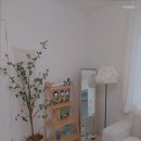 달달하리