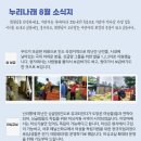 태양미싱