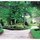 일동수목원 이미지