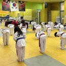 액티브 태권도장 이미지