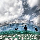 신세동경로당 이미지