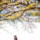 보문관광단지 이미지