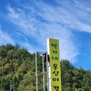 박가네옹심이칼국수 이미지