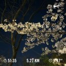 역전참한의원 | 4월 일상 上