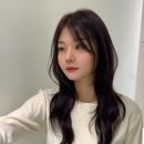 빈센트 헤어 이미지