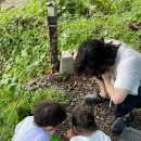 듀오브릿지2 이미지