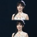 키쿠 이미지