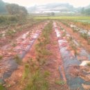 해송2로 이미지