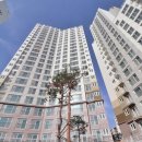 하이플러스공인중개사사무소 이미지