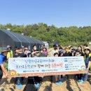 포리초등학교 이미지