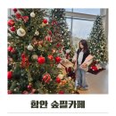 동읍1164 | 함안 숲필 트리가 예쁜 가볼만한 카페 추천