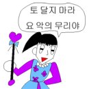리젠트 이미지