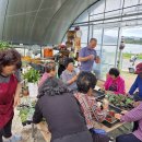 영암경로당 이미지