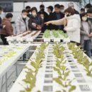 함께하는 농장 이미지