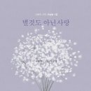 꽃보배스튜디오