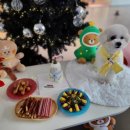 올 마이 펫 이미지