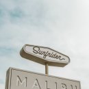 베이지 꽃 이미지