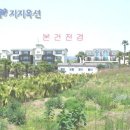 강정동-26 Daum카페