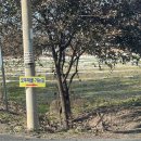 한탄강매운탕 | [연천 맛집] 오두막골식당 내돈내산 후기, 한탄강 매운탕/민물새우탕 전문점