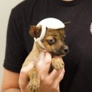 견생공감 이미지