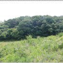 다목민박 이미지