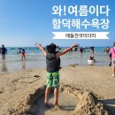 내것찾는 큰돌행정사무소 | 제주 함덕해수욕장 물놀이 초등 아이랑 가보니 왜 인기 많은지 알겠더라