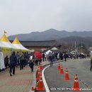 제20회 이천백사 산수유꽃축제 이미지