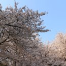 수봉양궁장 이미지