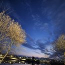 진양호메기탕 이미지