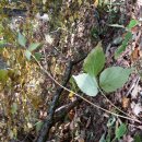 하산 농장 이미지