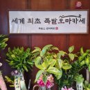 수원 망포역 영통 맛집 세계최초 족발 오마카세 완미족발 화성반월점
