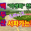 야생화길 Daum카페