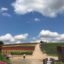 (주)라벤더투어