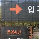 [전남 고창]꽃객프로젝트 핑크뮬리명소 주말오픈런후기