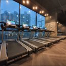 그레이짐 이미지