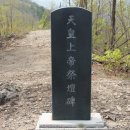 내미로리 이미지