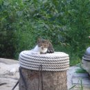 산모퉁이 이미지