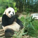 호야 PC방 이미지