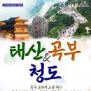 태산 팩