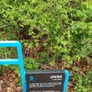 황개천 옆 이미지