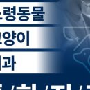 탑스동물병원 이미지