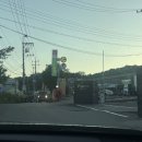 아이랑 김포 오리고기 맛집 '진아 오리광장' 다녀온 후기 (ft. 심야 자투라 카페)