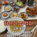 밥먹자 | 김포 운양) 엄마 미안,, 엄마 밥보다 맛있어 🥲 하은아 밥먹자 솔직 후기