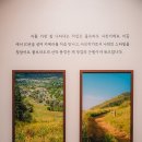 (주)후경 | 알렉스 키토 사진전 후기 : 그라운드시소 이스트, 전시회 추천