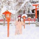 보홀에서의 완벽한 커플 여행, 베스트 웨스턴 플러스 더 아이비월 리조트 후기