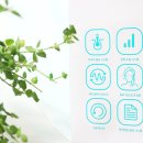 (주)위드케어 이미지